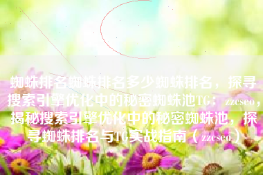 蜘蛛排名蜘蛛排名多少蜘蛛排名，探寻搜索引擎优化中的秘密蜘蛛池TG：zzcseo，揭秘搜索引擎优化中的秘密蜘蛛池，探寻蜘蛛排名与TG实战指南（zzcseo）