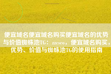 便宜域名便宜域名购买便宜域名的优势与价值蜘蛛池TG：zzcseo，便宜域名购买，优势、价值与蜘蛛池TG的使用指南