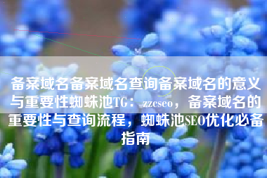 备案域名备案域名查询备案域名的意义与重要性蜘蛛池TG：zzcseo，备案域名的重要性与查询流程，蜘蛛池SEO优化必备指南