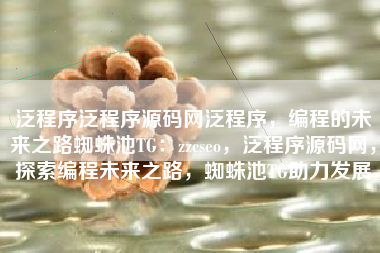 泛程序泛程序源码网泛程序，编程的未来之路蜘蛛池TG：zzcseo，泛程序源码网，探索编程未来之路，蜘蛛池TG助力发展