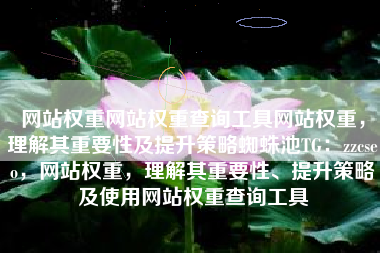 网站权重网站权重查询工具网站权重，理解其重要性及提升策略蜘蛛池TG：zzcseo，网站权重，理解其重要性、提升策略及使用网站权重查询工具