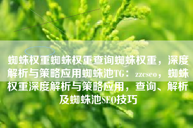 蜘蛛权重蜘蛛权重查询蜘蛛权重，深度解析与策略应用蜘蛛池TG：zzcseo，蜘蛛权重深度解析与策略应用，查询、解析及蜘蛛池SEO技巧