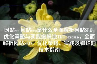 网站seo网站seo是什么全面解析网站SEO，优化策略与实践蜘蛛池TG：zzcseo，全面解析网站SEO，优化策略、实践及蜘蛛池技术指南