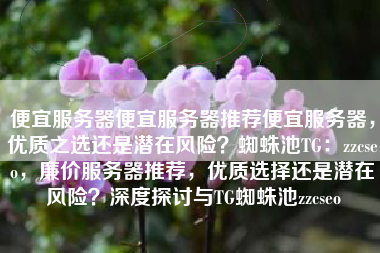 便宜服务器便宜服务器推荐便宜服务器，优质之选还是潜在风险？蜘蛛池TG：zzcseo，廉价服务器推荐，优质选择还是潜在风险？深度探讨与TG蜘蛛池zzcseo