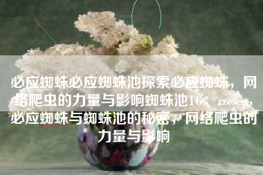 必应蜘蛛必应蜘蛛池探索必应蜘蛛，网络爬虫的力量与影响蜘蛛池TG：zzcseo，必应蜘蛛与蜘蛛池的秘密，网络爬虫的力量与影响