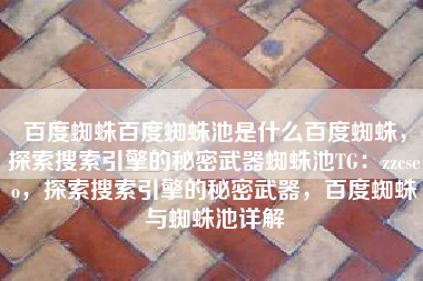 百度蜘蛛百度蜘蛛池是什么百度蜘蛛，探索搜索引擎的秘密武器蜘蛛池TG：zzcseo，探索搜索引擎的秘密武器，百度蜘蛛与蜘蛛池详解