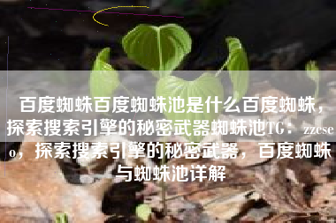 百度蜘蛛百度蜘蛛池是什么百度蜘蛛，探索搜索引擎的秘密武器蜘蛛池TG：zzcseo，探索搜索引擎的秘密武器，百度蜘蛛与蜘蛛池详解
