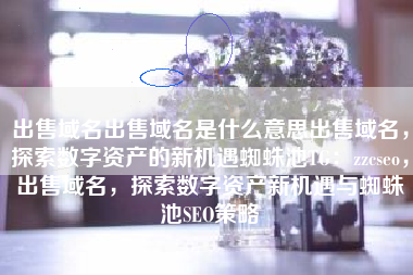 出售域名出售域名是什么意思出售域名，探索数字资产的新机遇蜘蛛池TG：zzcseo，出售域名，探索数字资产新机遇与蜘蛛池SEO策略
