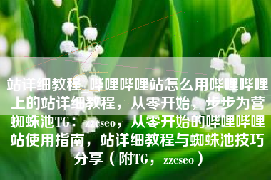 站详细教程_哔哩哔哩站怎么用哔哩哔哩上的站详细教程，从零开始，步步为营蜘蛛池TG：zzcseo，从零开始的哔哩哔哩站使用指南，站详细教程与蜘蛛池技巧分享（附TG，zzcseo）