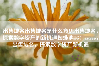 出售域名出售域名是什么意思出售域名，探索数字资产的新机遇蜘蛛池TG：zzcseo，出售域名，探索数字资产新机遇