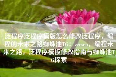 泛程序泛程序模版怎么修改泛程序，编程的未来之路蜘蛛池TG：zzcseo，编程未来之路，泛程序模板修改指南与蜘蛛池TG探索