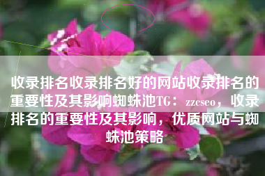 收录排名收录排名好的网站收录排名的重要性及其影响蜘蛛池TG：zzcseo，收录排名的重要性及其影响，优质网站与蜘蛛池策略