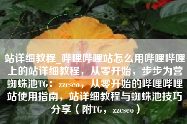 站详细教程_哔哩哔哩站怎么用哔哩哔哩上的站详细教程，从零开始，步步为营蜘蛛池TG：zzcseo，从零开始的哔哩哔哩站使用指南，站详细教程与蜘蛛池技巧分享（附TG，zzcseo）