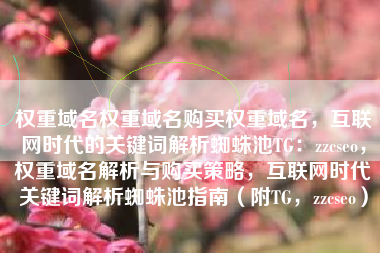 权重域名权重域名购买权重域名，互联网时代的关键词解析蜘蛛池TG：zzcseo，权重域名解析与购买策略，互联网时代关键词解析蜘蛛池指南（附TG，zzcseo）