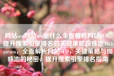 网站seo网站seo是什么全面解析网站SEO，提升搜索引擎排名的关键策略蜘蛛池TG：zzcseo，全面解析网站SEO，关键策略与蜘蛛池的秘密，提升搜索引擎排名指南