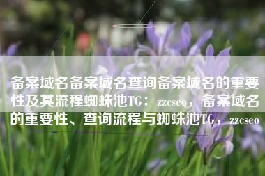 备案域名备案域名查询备案域名的重要性及其流程蜘蛛池TG：zzcseo，备案域名的重要性、查询流程与蜘蛛池TG，zzcseo