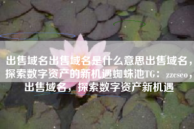 出售域名出售域名是什么意思出售域名，探索数字资产的新机遇蜘蛛池TG：zzcseo，出售域名，探索数字资产新机遇