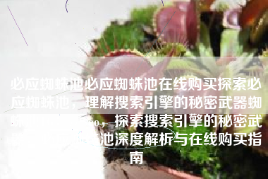 必应蜘蛛池必应蜘蛛池在线购买探索必应蜘蛛池，理解搜索引擎的秘密武器蜘蛛池TG：zzcseo，探索搜索引擎的秘密武器，必应蜘蛛池深度解析与在线购买指南