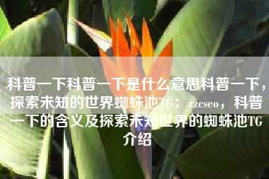 科普一下科普一下是什么意思科普一下，探索未知的世界蜘蛛池TG：zzcseo，科普一下的含义及探索未知世界的蜘蛛池TG介绍