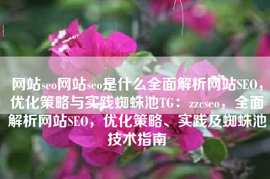 网站seo网站seo是什么全面解析网站SEO，优化策略与实践蜘蛛池TG：zzcseo，全面解析网站SEO，优化策略、实践及蜘蛛池技术指南
