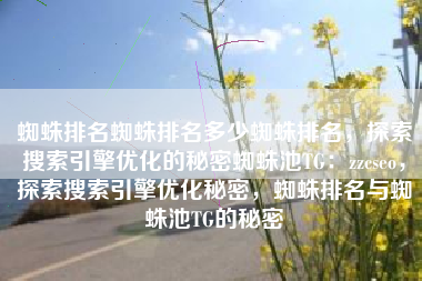 蜘蛛排名蜘蛛排名多少蜘蛛排名，探索搜索引擎优化的秘密蜘蛛池TG：zzcseo，探索搜索引擎优化秘密，蜘蛛排名与蜘蛛池TG的秘密