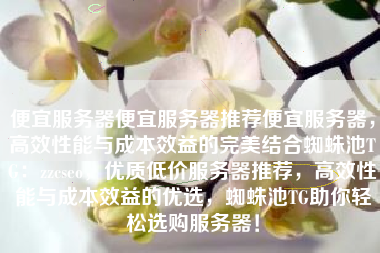 便宜服务器便宜服务器推荐便宜服务器，高效性能与成本效益的完美结合蜘蛛池TG：zzcseo，优质低价服务器推荐，高效性能与成本效益的优选，蜘蛛池TG助你轻松选购服务器！