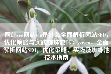 网站seo网站seo是什么全面解析网站SEO，优化策略与实践蜘蛛池TG：zzcseo，全面解析网站SEO，优化策略、实践及蜘蛛池技术指南