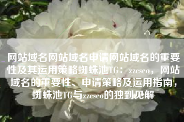 网站域名网站域名申请网站域名的重要性及其运用策略蜘蛛池TG：zzcseo，网站域名的重要性、申请策略及运用指南，蜘蛛池TG与zzcseo的独到见解
