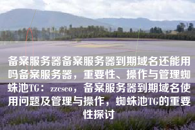 备案服务器备案服务器到期域名还能用吗备案服务器，重要性、操作与管理蜘蛛池TG：zzcseo，备案服务器到期域名使用问题及管理与操作，蜘蛛池TG的重要性探讨