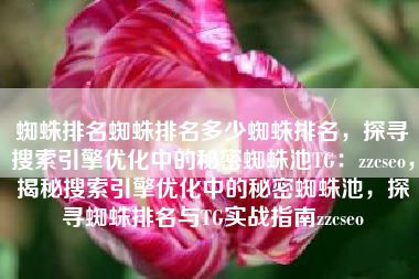 蜘蛛排名蜘蛛排名多少蜘蛛排名，探寻搜索引擎优化中的秘密蜘蛛池TG：zzcseo，揭秘搜索引擎优化中的秘密蜘蛛池，探寻蜘蛛排名与TG实战指南zzcseo