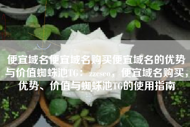 便宜域名便宜域名购买便宜域名的优势与价值蜘蛛池TG：zzcseo，便宜域名购买，优势、价值与蜘蛛池TG的使用指南
