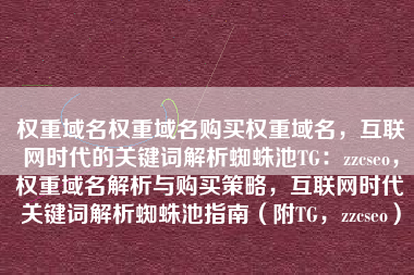权重域名权重域名购买权重域名，互联网时代的关键词解析蜘蛛池TG：zzcseo，权重域名解析与购买策略，互联网时代关键词解析蜘蛛池指南（附TG，zzcseo）