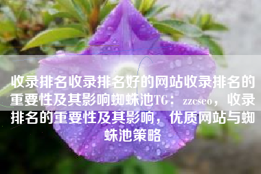 收录排名收录排名好的网站收录排名的重要性及其影响蜘蛛池TG：zzcseo，收录排名的重要性及其影响，优质网站与蜘蛛池策略
