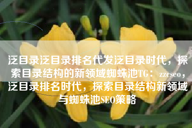 泛目录泛目录排名代发泛目录时代，探索目录结构的新领域蜘蛛池TG：zzcseo，泛目录排名时代，探索目录结构新领域与蜘蛛池SEO策略