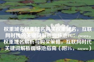 权重域名权重域名购买权重域名，互联网时代的关键词解析蜘蛛池TG：zzcseo，权重域名解析与购买策略，互联网时代关键词解析蜘蛛池指南（附TG，zzcseo）