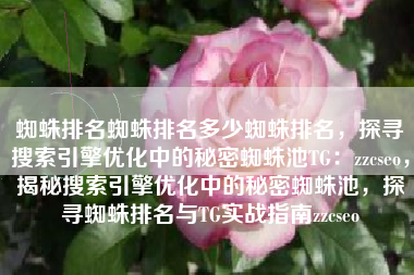蜘蛛排名蜘蛛排名多少蜘蛛排名，探寻搜索引擎优化中的秘密蜘蛛池TG：zzcseo，揭秘搜索引擎优化中的秘密蜘蛛池，探寻蜘蛛排名与TG实战指南zzcseo