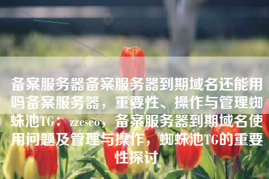备案服务器备案服务器到期域名还能用吗备案服务器，重要性、操作与管理蜘蛛池TG：zzcseo，备案服务器到期域名使用问题及管理与操作，蜘蛛池TG的重要性探讨