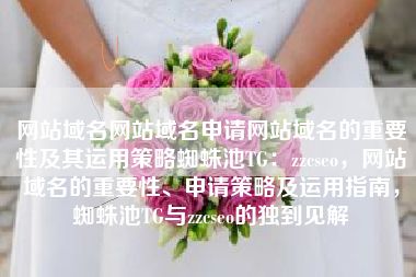 网站域名网站域名申请网站域名的重要性及其运用策略蜘蛛池TG：zzcseo，网站域名的重要性、申请策略及运用指南，蜘蛛池TG与zzcseo的独到见解