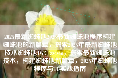 2025最新蜘蛛池2025最新蜘蛛池程序构建蜘蛛池的新篇章，探索2025年最新蜘蛛池技术蜘蛛池TG：zzcseo，探索最新蜘蛛池技术，构建蜘蛛池新篇章，2025年蜘蛛池程序与TG实战指南