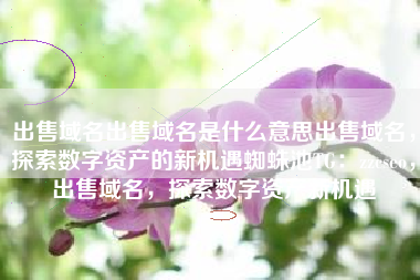 出售域名出售域名是什么意思出售域名，探索数字资产的新机遇蜘蛛池TG：zzcseo，出售域名，探索数字资产新机遇