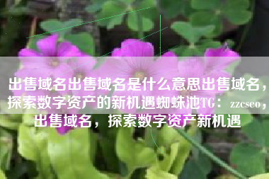 出售域名出售域名是什么意思出售域名，探索数字资产的新机遇蜘蛛池TG：zzcseo，出售域名，探索数字资产新机遇