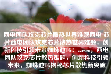 西电团队攻克芯片散热世界难题西电 芯片西电团队攻克芯片散热世界难题，创新科技引领未来蜘蛛池TG：zzcseo，西电团队攻克芯片散热难题，创新科技引领未来，蜘蛛池TG揭秘芯片散热新突破
