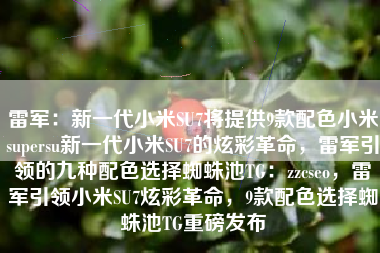 雷军：新一代小米SU7将提供9款配色小米supersu新一代小米SU7的炫彩革命，雷军引领的九种配色选择蜘蛛池TG：zzcseo，雷军引领小米SU7炫彩革命，9款配色选择蜘蛛池TG重磅发布