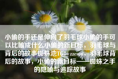 小偷的手还是伸向了羽毛球小偷的手可以比喻成什么小偷的新目标，羽毛球与背后的故事蜘蛛池TG：zzcseo，羽毛球背后的故事，小偷的新目标——蜘蛛之手的隐喻与追踪故事