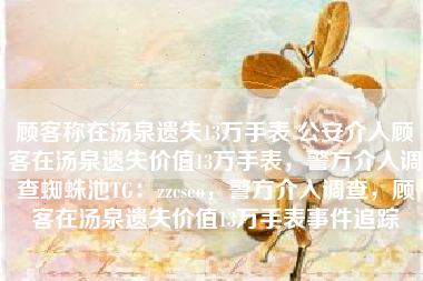 顾客称在汤泉遗失13万手表 公安介入顾客在汤泉遗失价值13万手表，警方介入调查蜘蛛池TG：zzcseo，警方介入调查，顾客在汤泉遗失价值13万手表事件追踪