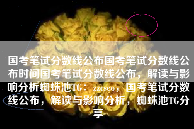 国考笔试分数线公布国考笔试分数线公布时间国考笔试分数线公布，解读与影响分析蜘蛛池TG：zzcseo，国考笔试分数线公布，解读与影响分析，蜘蛛池TG分享