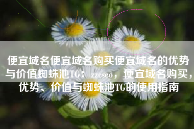 便宜域名便宜域名购买便宜域名的优势与价值蜘蛛池TG：zzcseo，便宜域名购买，优势、价值与蜘蛛池TG的使用指南