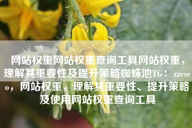 网站权重网站权重查询工具网站权重，理解其重要性及提升策略蜘蛛池TG：zzcseo，网站权重，理解其重要性、提升策略及使用网站权重查询工具
