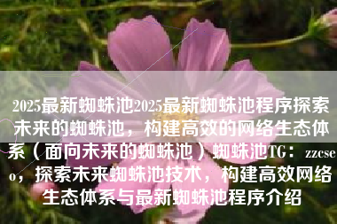 2025最新蜘蛛池2025最新蜘蛛池程序探索未来的蜘蛛池，构建高效的网络生态体系（面向未来的蜘蛛池）蜘蛛池TG：zzcseo，探索未来蜘蛛池技术，构建高效网络生态体系与最新蜘蛛池程序介绍