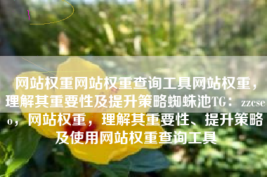 网站权重网站权重查询工具网站权重，理解其重要性及提升策略蜘蛛池TG：zzcseo，网站权重，理解其重要性、提升策略及使用网站权重查询工具
